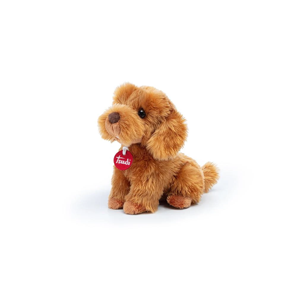 Barboncino Toy S Seduto 3 Barboncino Toy S Seduto