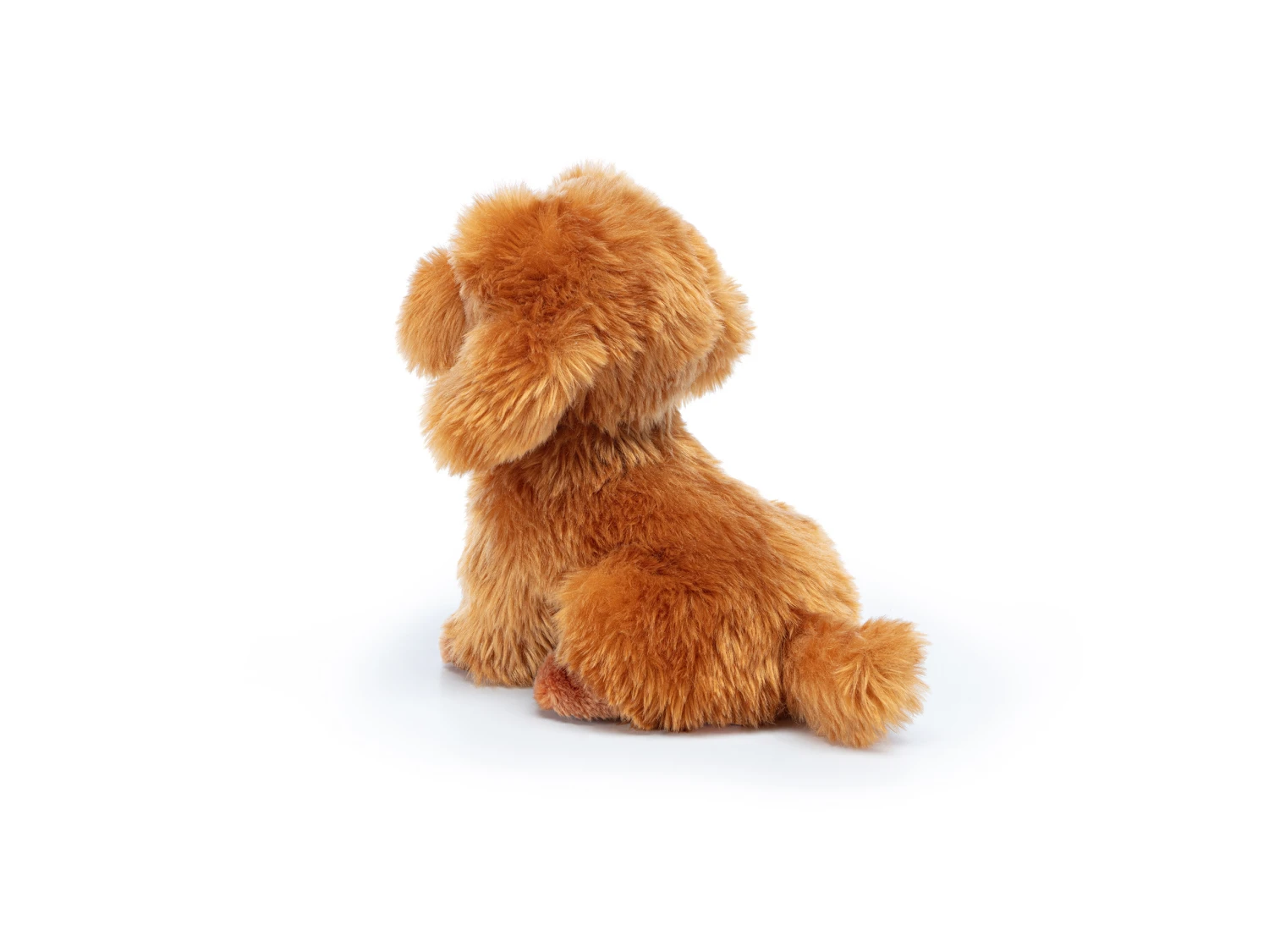 Barboncino Toy S Seduto 5 Barboncino Toy S Seduto - immagine 3