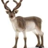 Schleich Renna 2 Schleich Renna -Sconto Giocattoli Per Bambini in Italia image 407