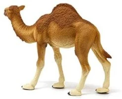 Schleich Dromedario 8 Schleich Dromedario -Sconto Giocattoli Per Bambini in Italia image 427