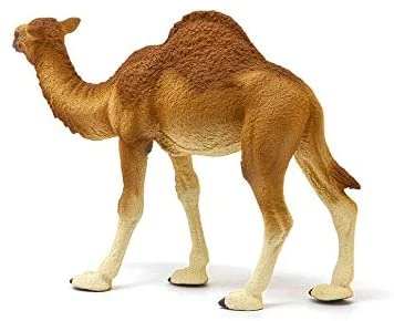Schleich Dromedario 5 Schleich Dromedario - immagine 3