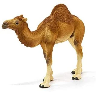 Schleich Dromedario 6 Schleich Dromedario - immagine 4