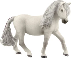 Iceland Pony Mare