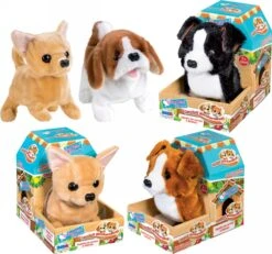 Cuccioli Giocherelloni