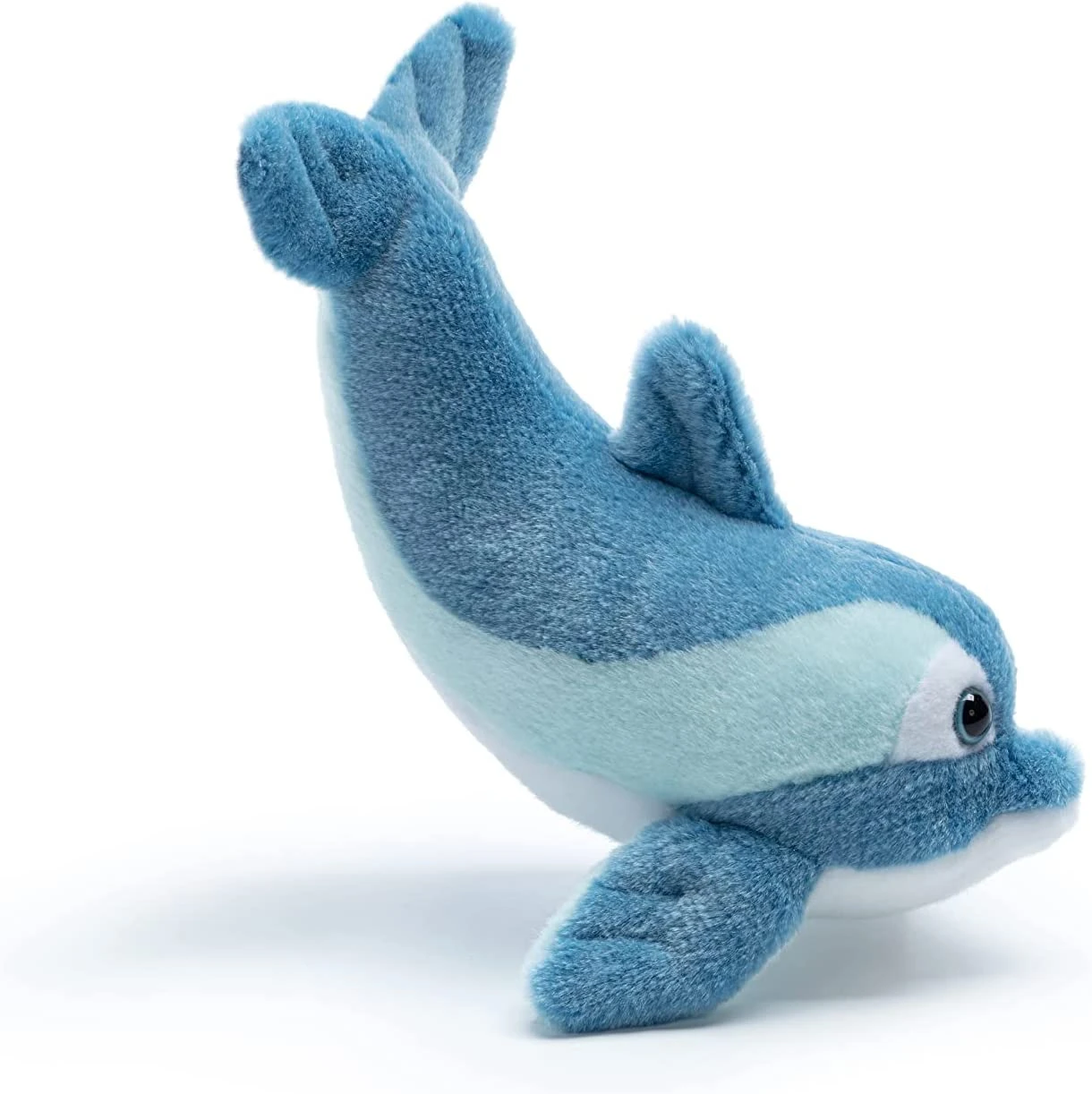 Delfino Winny S 4 Delfino Winny S - immagine 2